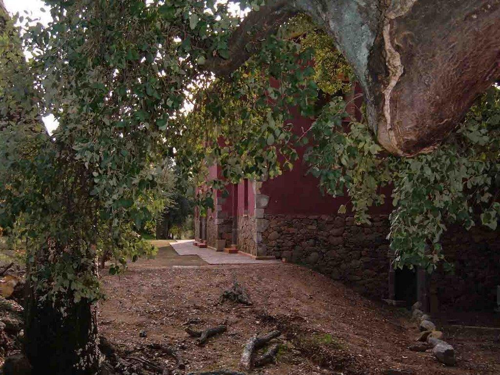 Apartamentos Rurales La Oropendola Jaraiz de la Vera Exterior foto